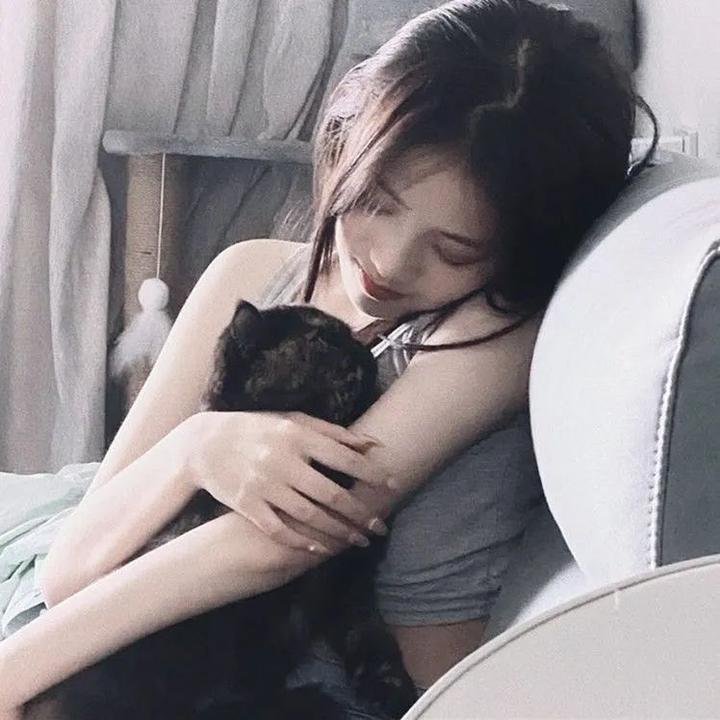 分手的决心
